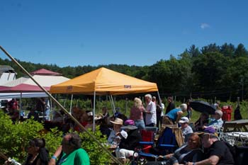 crowd